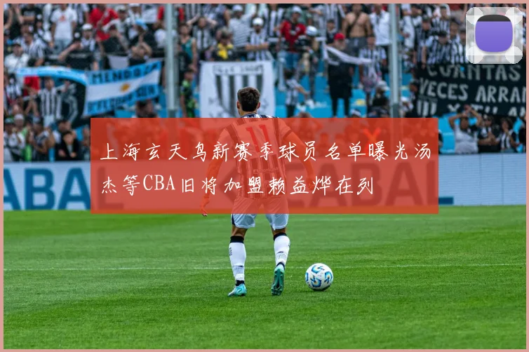 上海玄天鸟新赛季球员名单曝光汤杰等CBA旧将加盟赖益烨在列