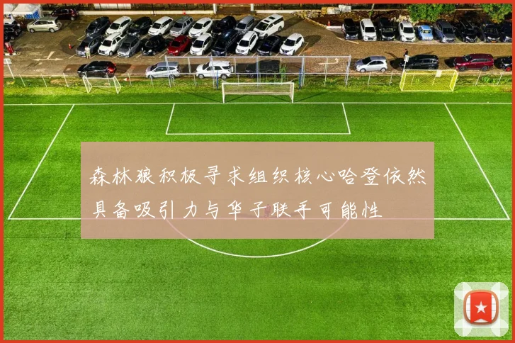 森林狼积极寻求组织核心哈登依然具备吸引力与华子联手可能性