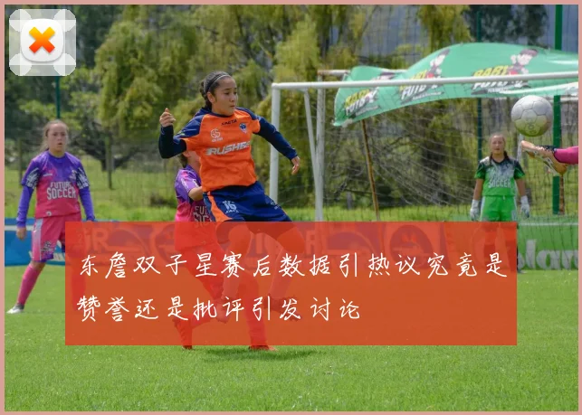 东詹双子星赛后数据引热议究竟是赞誉还是批评引发讨论
