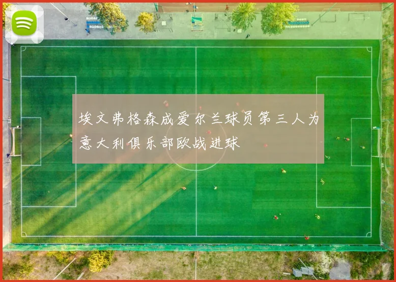 埃文弗格森成爱尔兰球员第三人为意大利俱乐部欧战进球